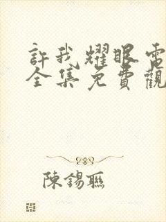 许我耀眼电视剧全集免费观看15集