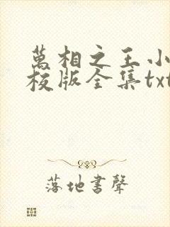 万相之王小说精校版全集txt