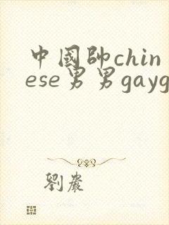 中国帅chinese男男gaygay网站