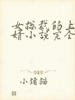 女总裁的上门女婿小说完全版封面