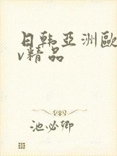 日韩亚洲欧美av精品