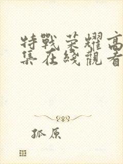 特战荣耀高清全集在线观看