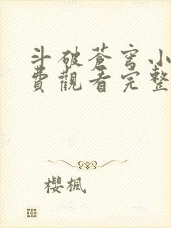 斗破苍穹小说免费观看完整版封面