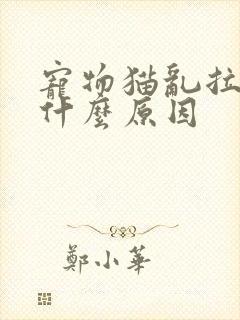 宠物猫乱拉尿是什么原因