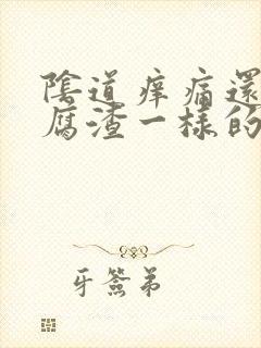 阴道痒痛还有豆腐渣一样的东西封面