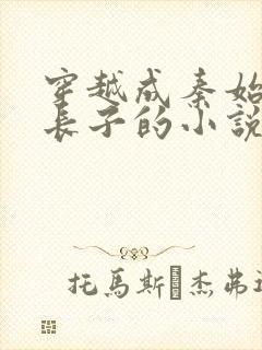 穿越成秦始皇的长子的小说赵浪