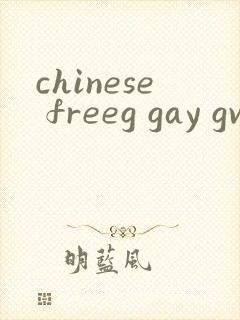 chinese freeg gay gv tv