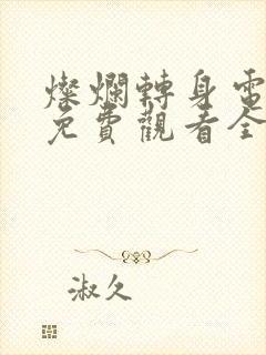 灿烂转身电视剧免费观看全集