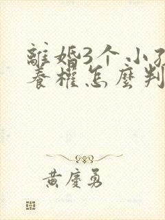 离婚3个小孩抚养权怎么判