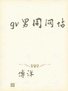 gv男同网站
