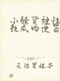 小骚货被性虐调教成肉便器小说封面