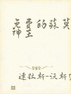 免费的苏莫绝代神主封面