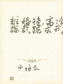 离婚后,高冷女总裁跪求我原谅