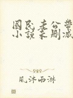 国民老公带回家小说未删减