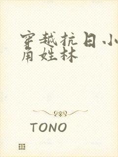 穿越抗日小说主角姓林