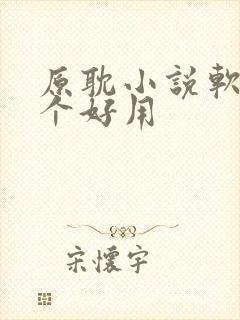 原耽小说软件哪个好用