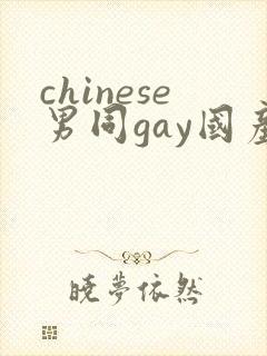 chinese男同gay国产