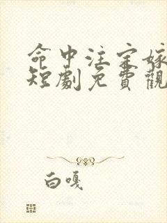 命中注定嫁给你短剧免费观看