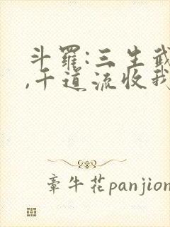 斗罗:三生武魂,千道流收我为徒