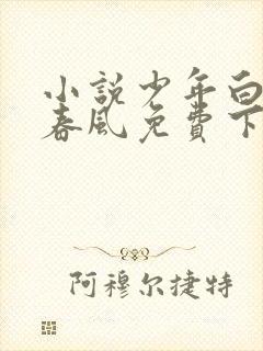 小说少年白马醉春风免费下载