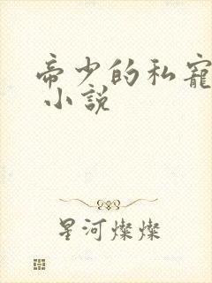 帝少的私宠甜妻 小说