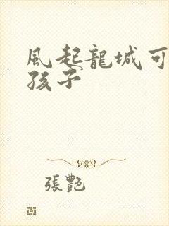 风起龙城可可的孩子封面