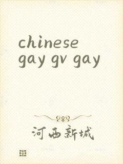 chinesegay gv gay封面