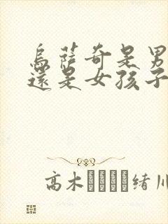 乌萨奇是男孩子还是女孩子封面