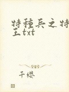 特种兵之特战兵王txt
