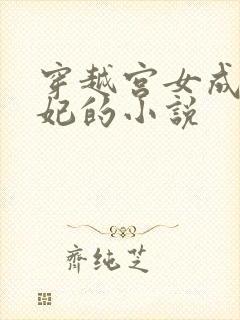 穿越宫女成为宠妃的小说封面