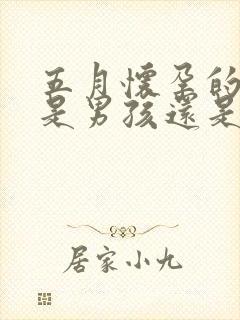 五月怀孕的大概是男孩还是女孩