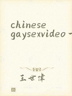 chinesegaysexvideo一chinesegv封面