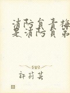 消防员青梅竹马是消防员第一季 未增删封面