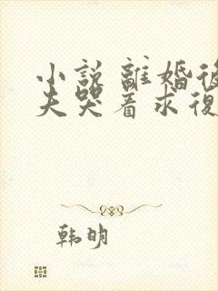 小说 离婚后前夫哭着求复婚