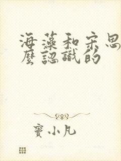 海藻和宋思明怎么认识的