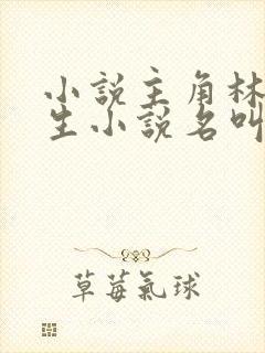 小说主角林天重生小说名叫什么封面