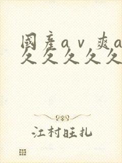国产aⅴ爽av久久久久久