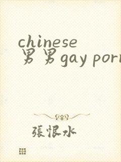 chinese男男gay porn网站封面