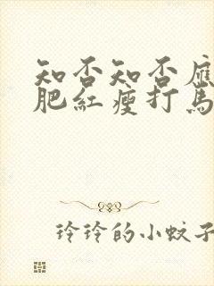 知否知否应是绿肥红瘦打马球哪集封面