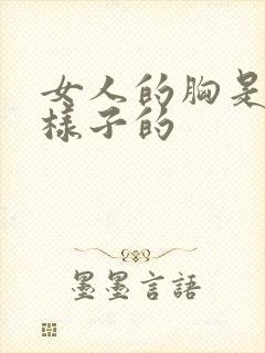 女人的胸是什么样子的封面