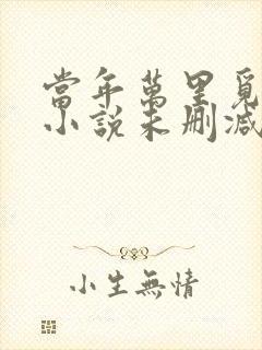 当年万里觅封侯小说未删减版