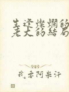 生逢灿烂的日子老大的结局封面