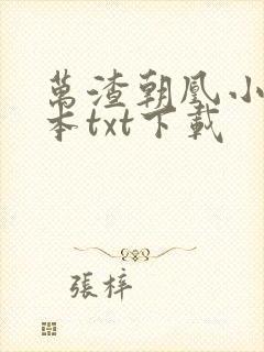 万渣朝凰小说全本txt下载