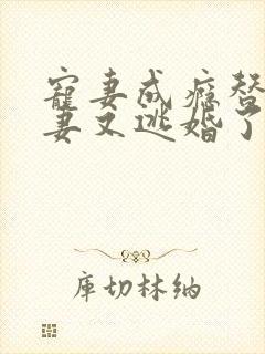 宠妻成瘾替嫁娇妻又逃婚了小说