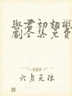 与君初相识电视剧全集免费观看