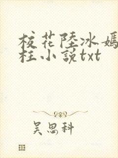 校花陆冰嫣陈宝柱小说txt