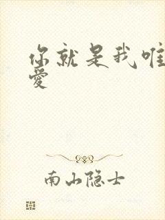 你就是我唯一的爱