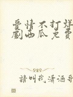 爱情不打烊电视剧西瓜免费观看