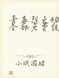 青春烈火40集全部免费观看封面