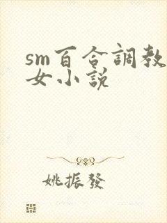 sm百合调教魔女小说封面